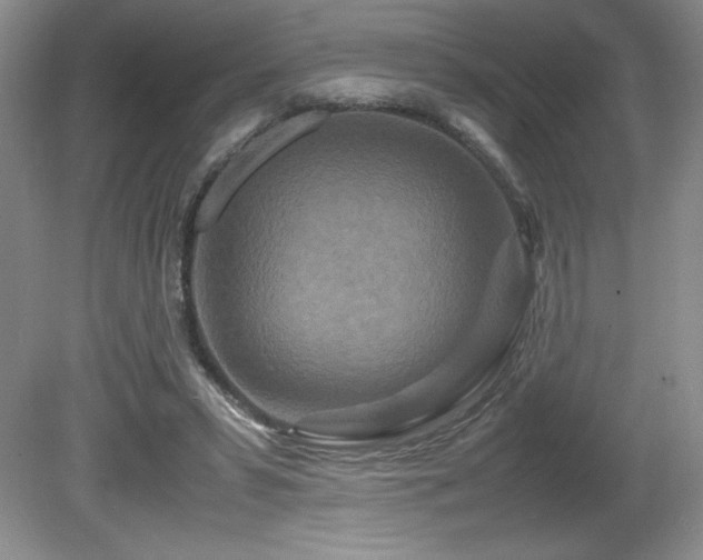 X0000081610399200701151411