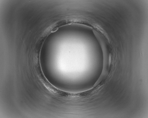 X0000081610401200701151411