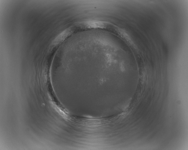 X0000081610402200701151411