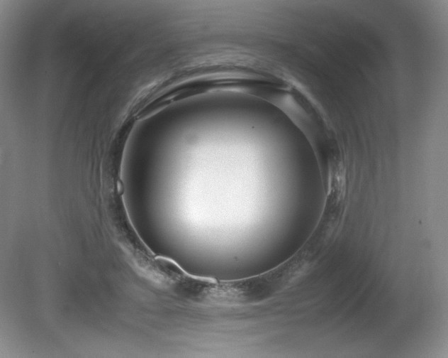 X0000081610403200701151410