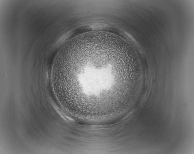 X0000081610405200701151410