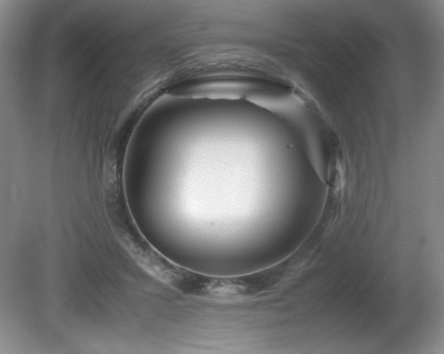 X0000081610407200701151410