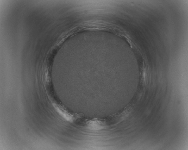 X0000081610408200701151410