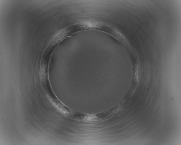 X0000081610410200701151410