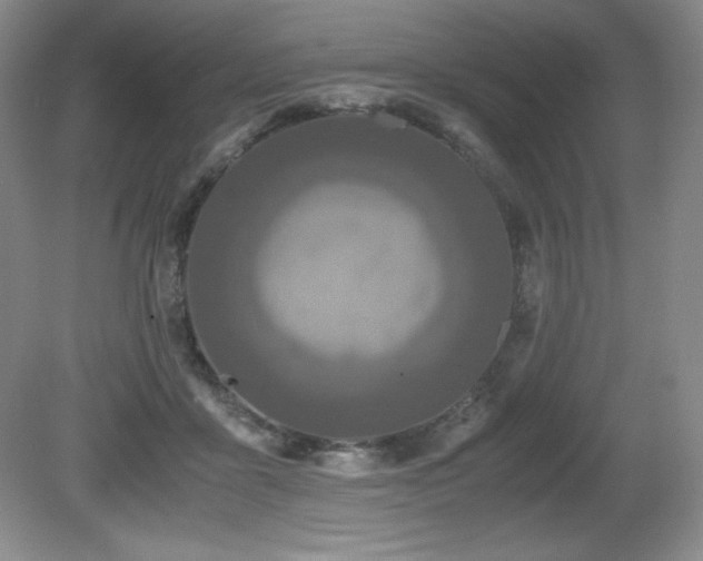 X0000081610411200701151410