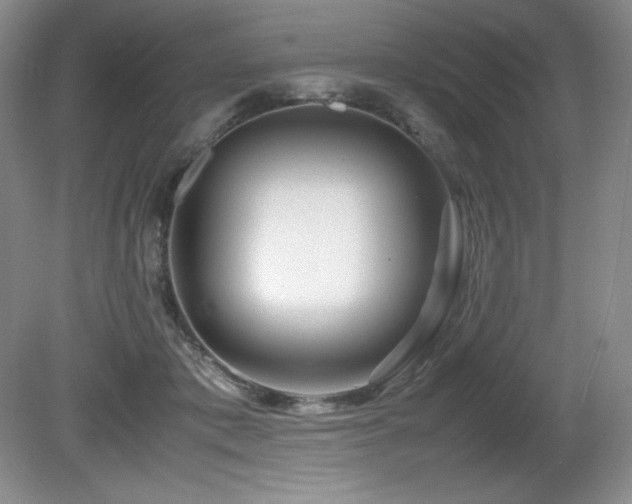 X0000081610413200701151410