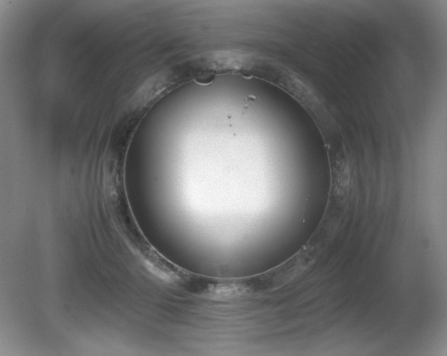 X0000081610414200701151410