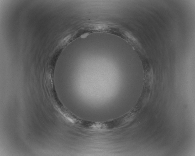 X0000081610415200701151410