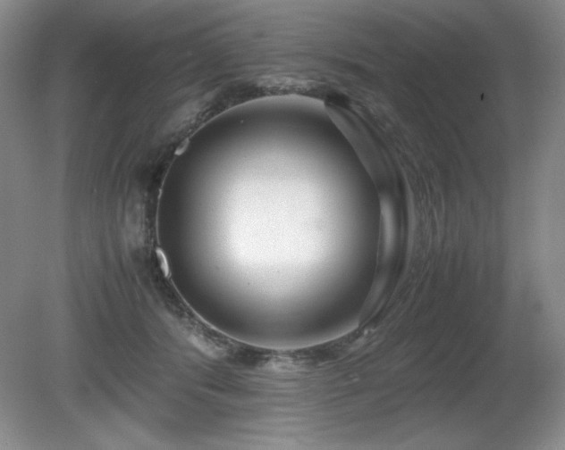 X0000081610416200701151410