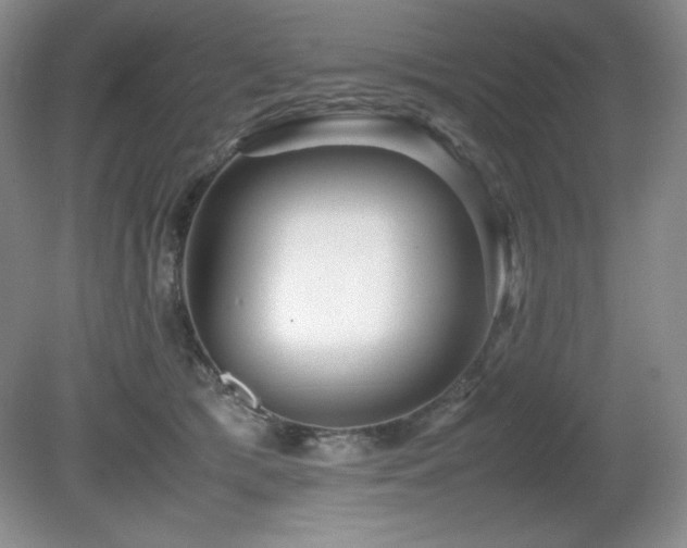 X0000081610417200701151410