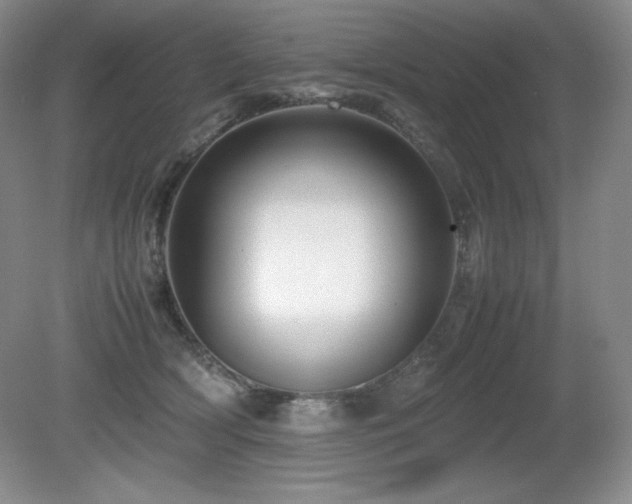 X0000081610418200701151410