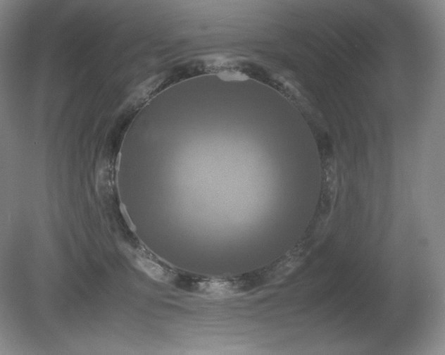 X0000081610419200701151410