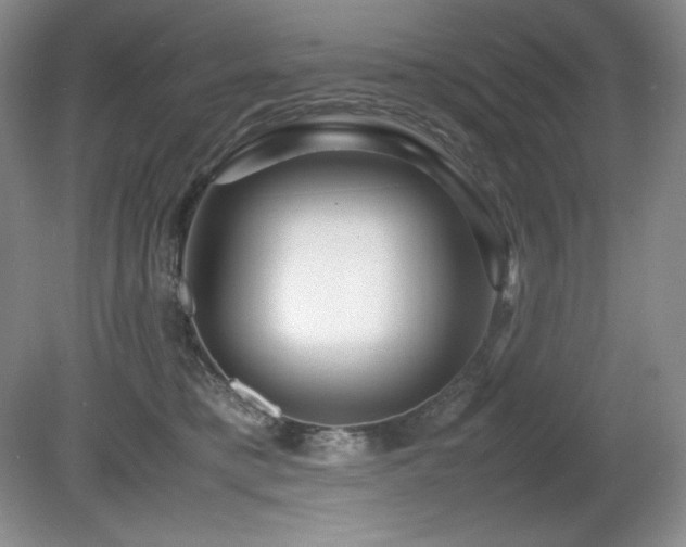 X0000081610421200701151410