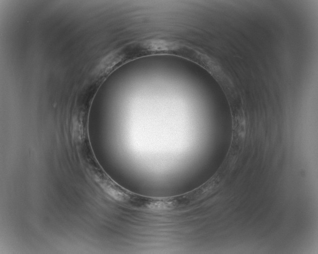 X0000081610422200701151410