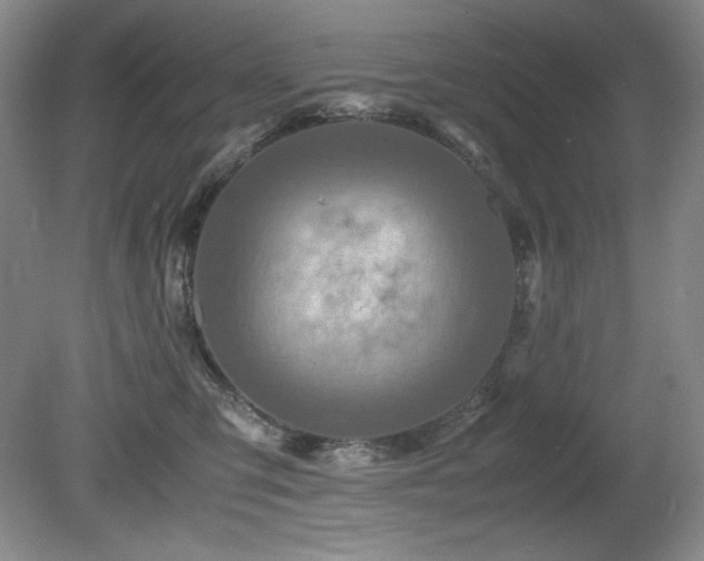 X0000081610423200701151410