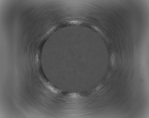 X0000081610424200701151410