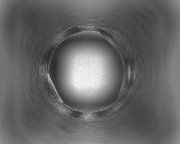 X0000081610425200701151410