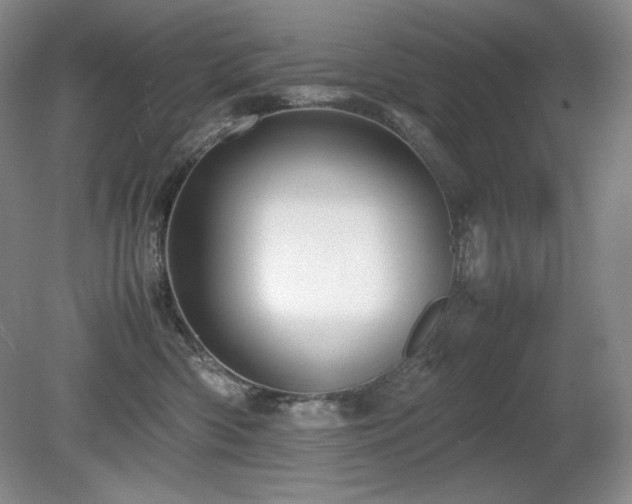 X0000081610426200701151410