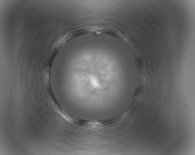 X0000081610427200701151410