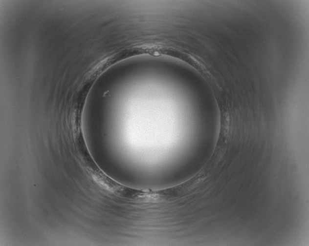 X0000081610428200701151410