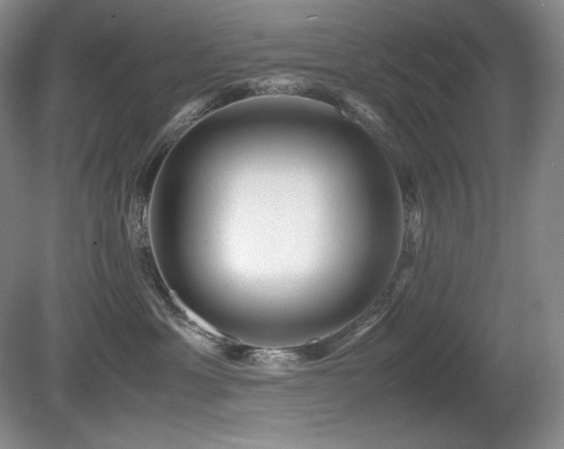 X0000081610429200701151410