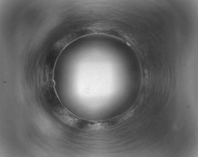 X0000081610430200701151410