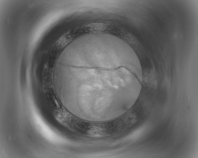 X0000081610431200701151410