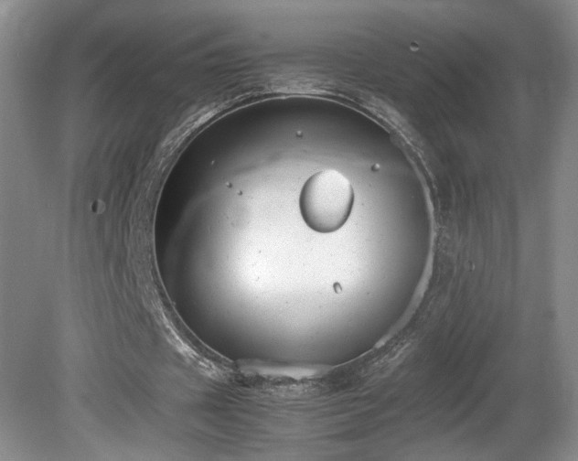 X0000081610433200701151409