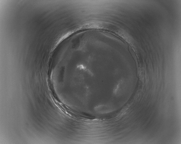 X0000081610434200701151409