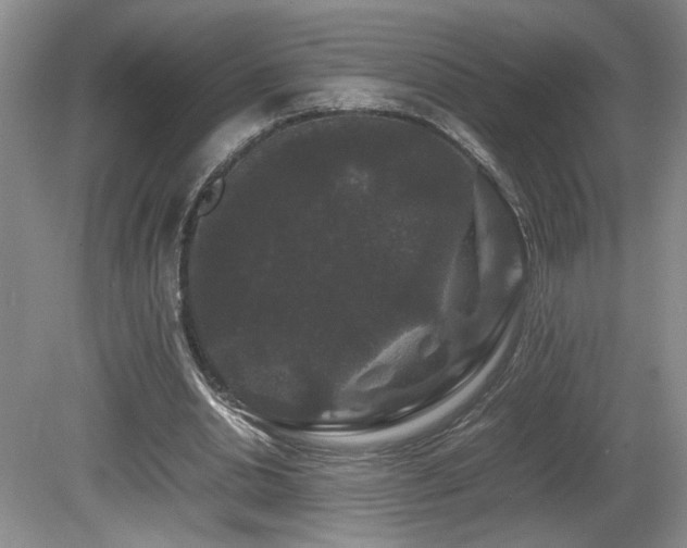 X0000081610438200701151409