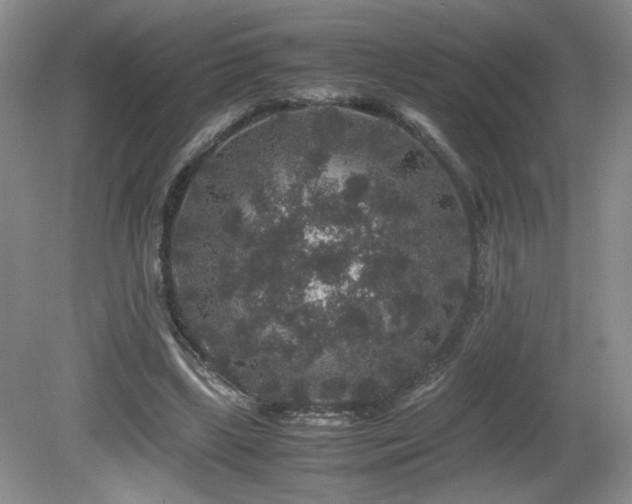 X0000081610443200701151409