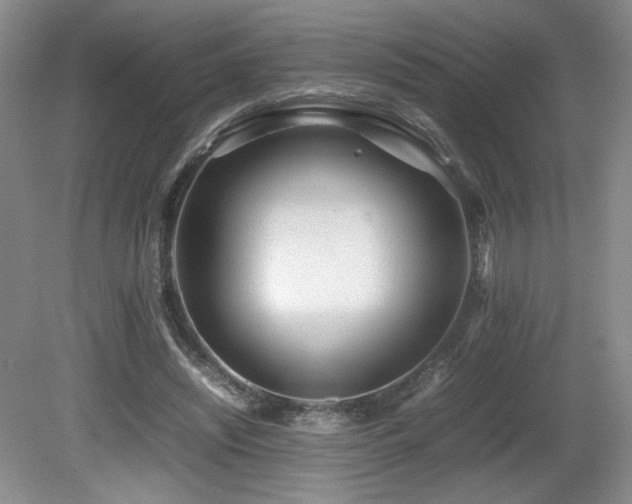 X0000081610444200701151409