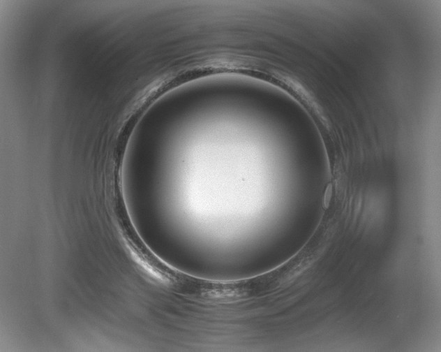 X0000081610445200701151409