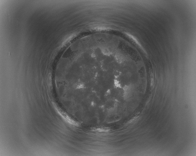 X0000081610447200701151409