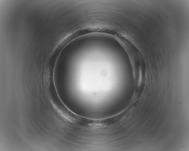 X0000081610448200701151409