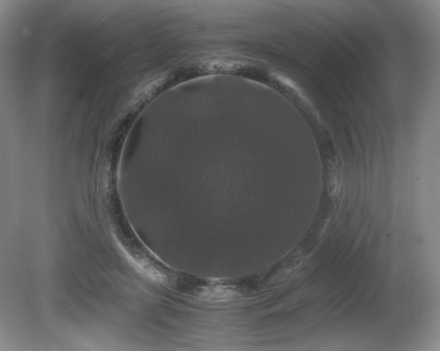 X0000081610451200701151409