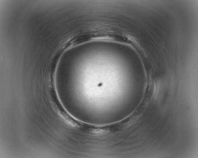 X0000081610453200701151410