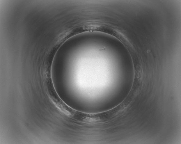 X0000081610455200701151410