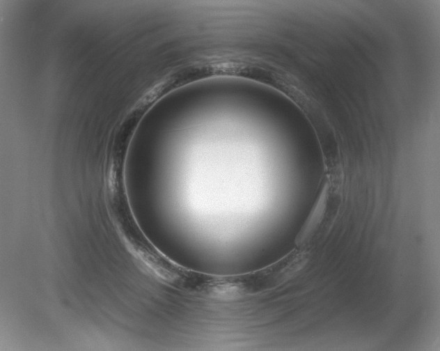 X0000081610456200701151410