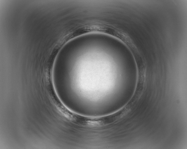 X0000081610457200701151410