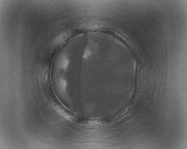 X0000081610458200701151410