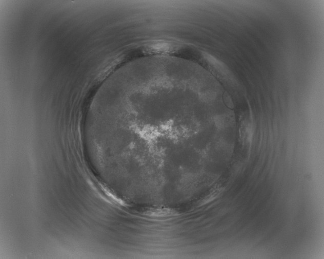 X0000081610459200701151410