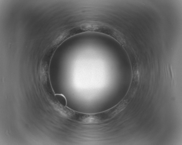 X0000081610460200701151410