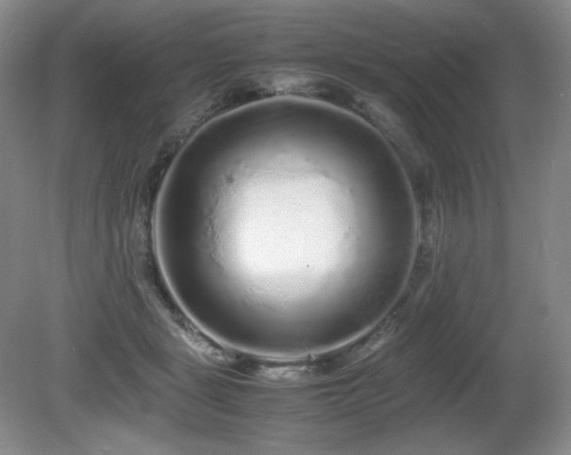 X0000081610461200701151410