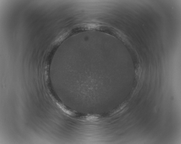 X0000081610462200701151410