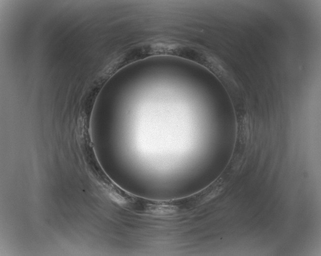 X0000081610463200701151410