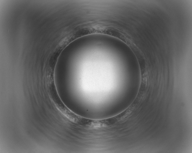 X0000081610464200701151410