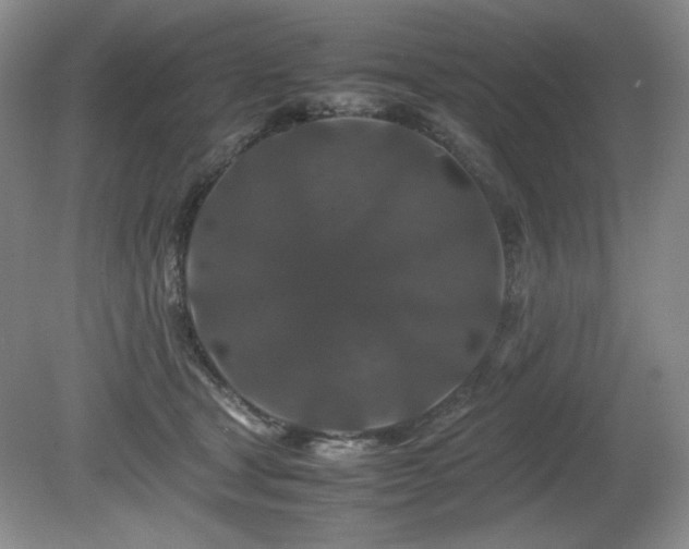 X0000081610465200701151410