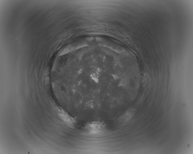 X0000081610466200701151410