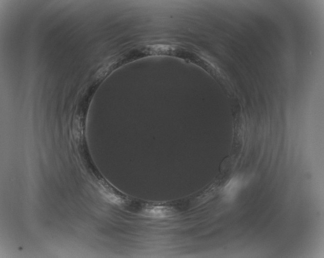 X0000081610467200701151410